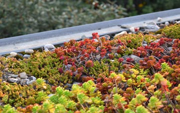 the cost of Kings End green roof installation