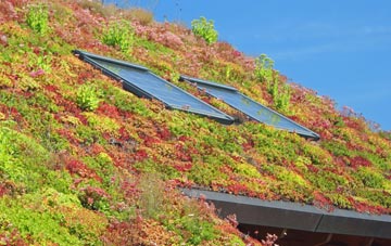 Kings End living roof systems