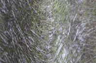 Kings End fibreglass roof work